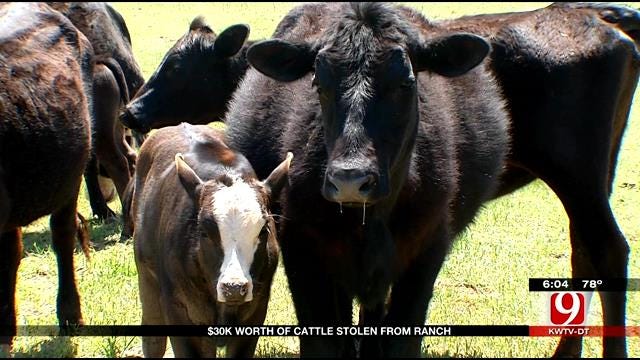 $30K Worth Of Cattle Rustled From Logan County Ranch
