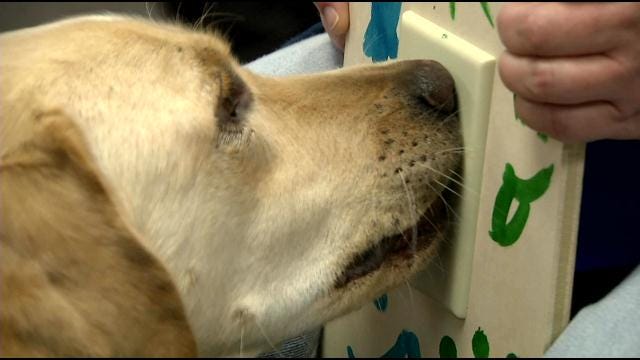 Tulsa Elementary Students Help Build Tools For Service Dogs