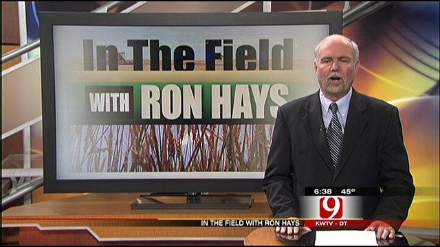 In The Field: Ron Hays Talks About 2012 Farm Policies
