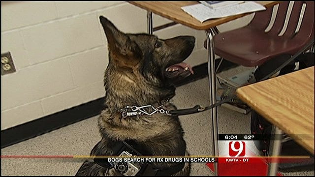 Dogs Trained To Search For Drugs At Oklahoma Schools