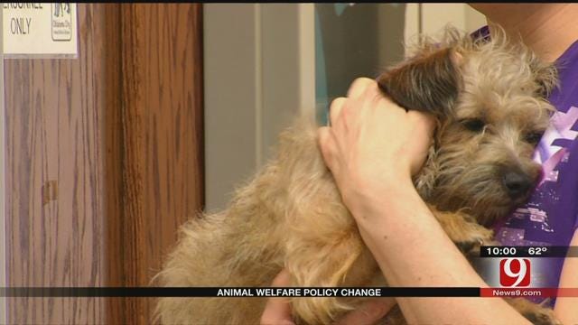 OKC Animal Welfare Ends After-Hours Drop Boxes