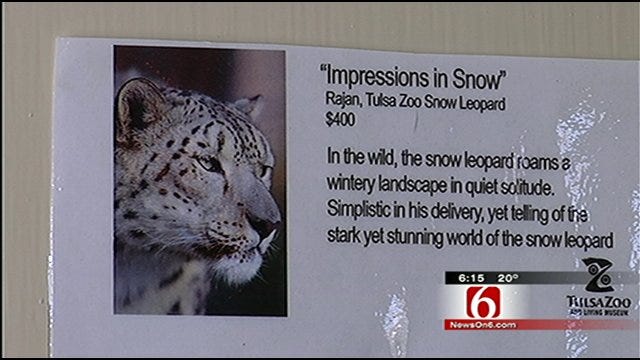 Animals At Tulsa Zoo Create Masterpieces For Fundraiser