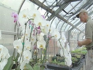 Tulsa Zoo's Horticulture Curator Adds Exotic Plants to Zoo Experience