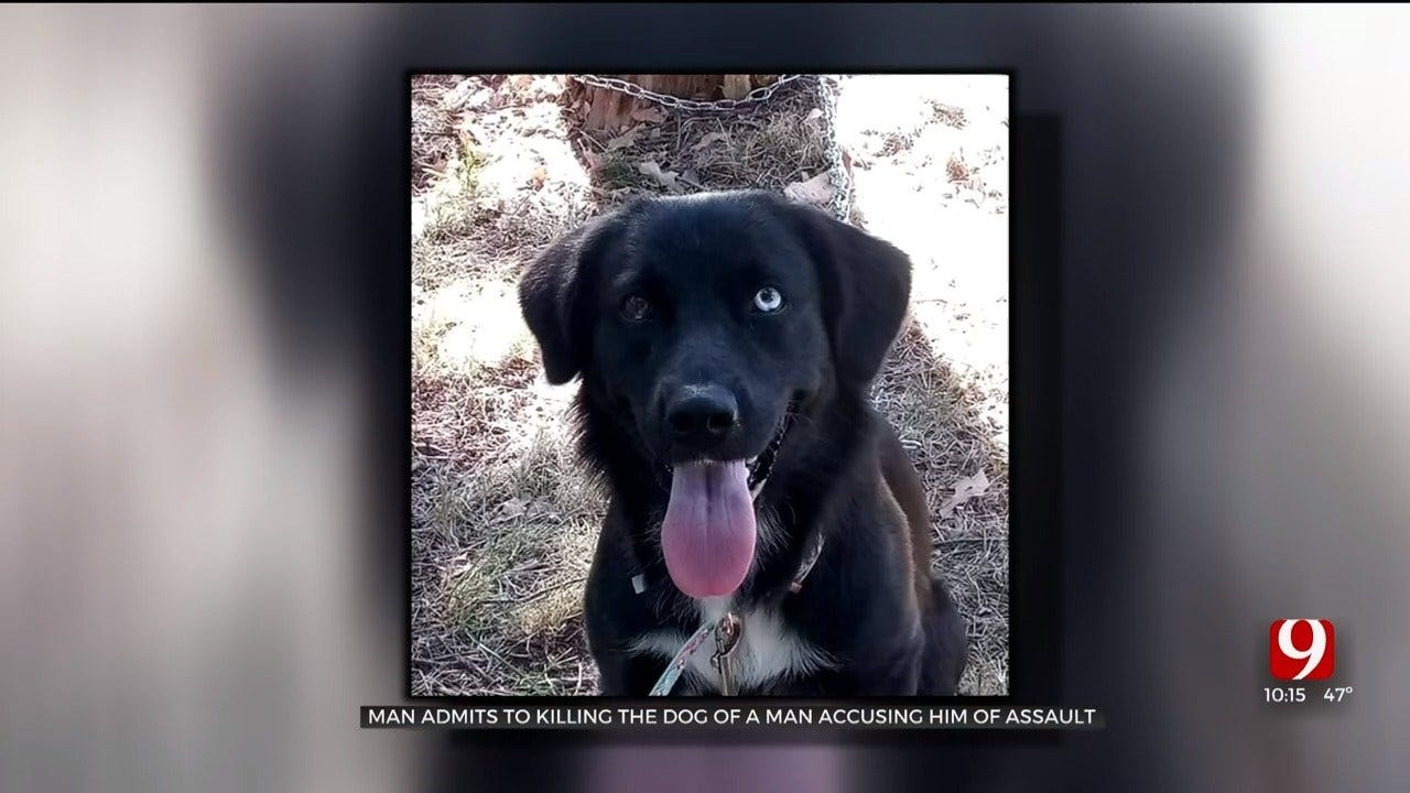 Man Mourns Loss Of Service Dog After Dog Was Found Stabbed To Death In Norman
