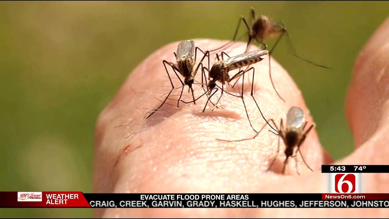 Health Department Ramps Up Mosquito Control Efforts