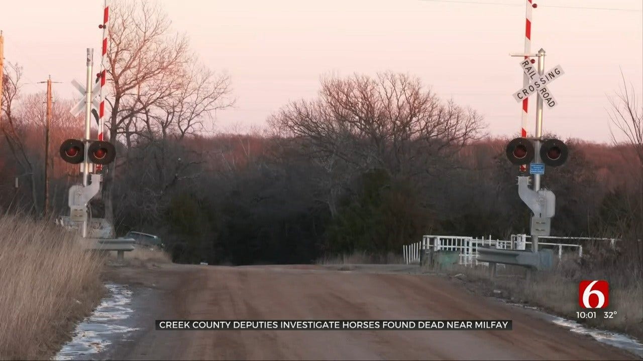 Creek Co. Deputies Investigating After Horses Found Dead
