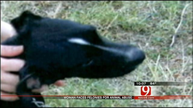 Harrah Police: Animal Neglect Nearly Fatal For Three Pets