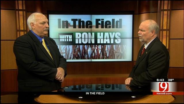 In The Field: 2014 Oklahoma Wheat Crop Condition