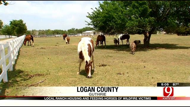 Oklahoma Ranch Housing, Feeding Horses Of Wildfire Victims