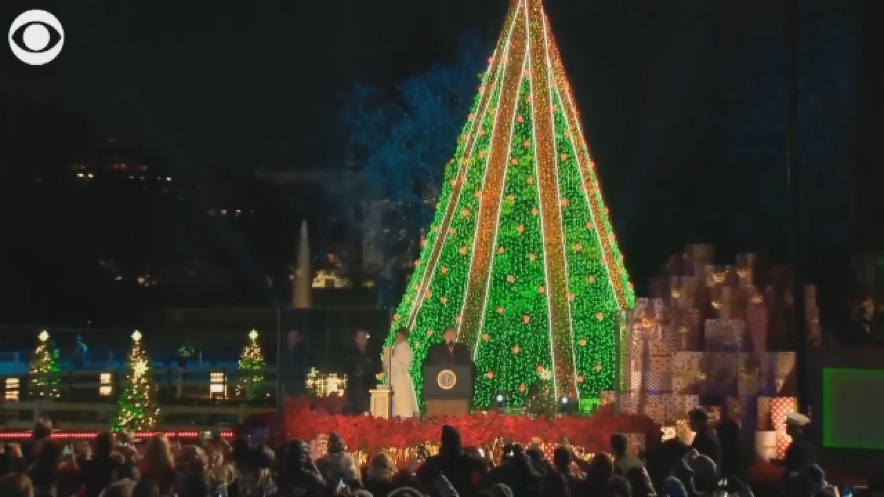 President Trump Attends The National Tree Lighting Ceremony