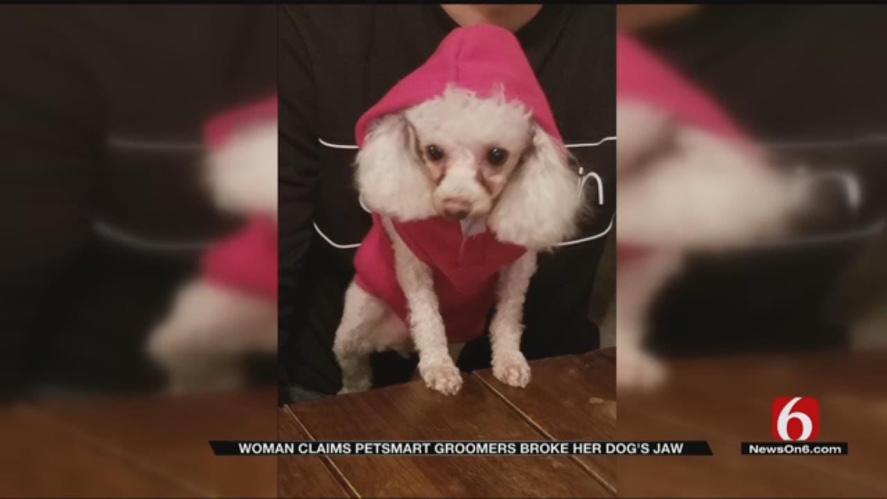 Owner Says Dog's Jaw Broken At PetSmart In Broken Arrow