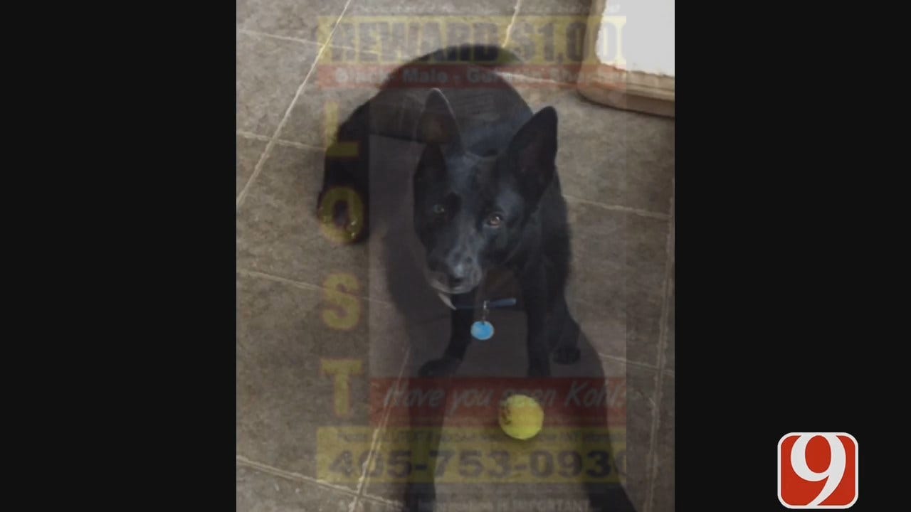 WEB EXTRA: Guthrie Family In Search Of Missing Dog