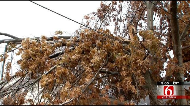 Oklahoma Ice Storm Keep Tree Trimmers Busy