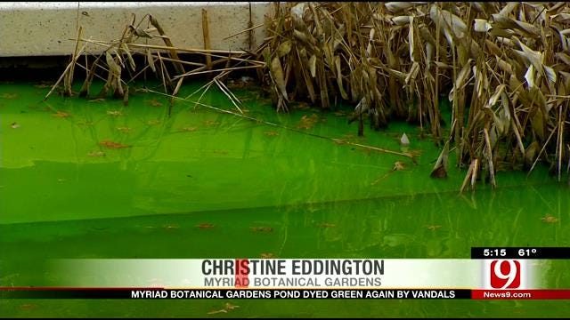 Vandals Dye Water Green At Myriad Gardens For Second Year In A Row