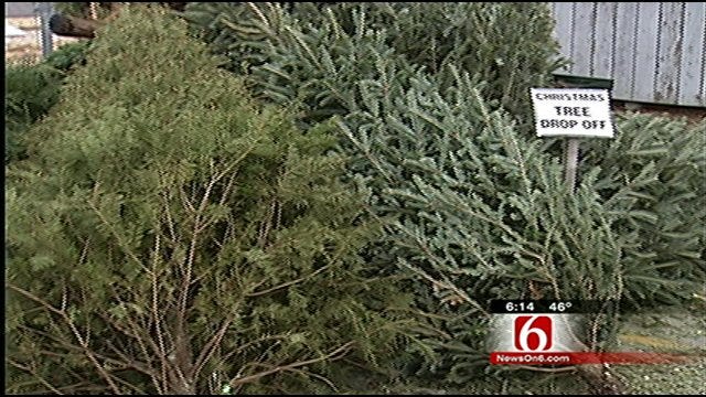 Tulsa Company Offering Vouchers In Exchange For Christmas Trees