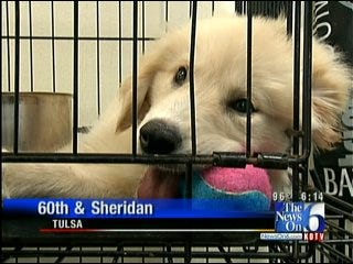 Tulsa Humane Society Holds Adopt-A-Thon