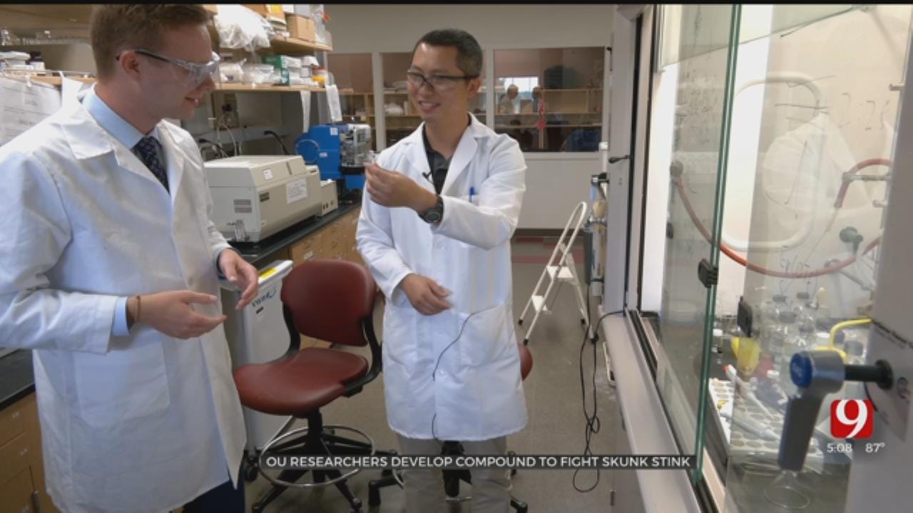 OU Researchers Develop Compound To Fight Skunk Odor