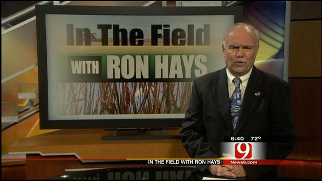 In The Field: Ron Hays Speaks About The 2013 Farm Bill