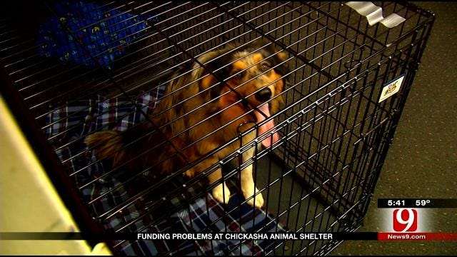 Funding Woes Plague Chickasha Animal Shelter