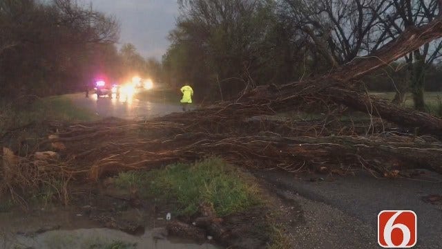 Tornado In North Tulsa Causes Tree To Fall On Truck Carrying Family Of Four