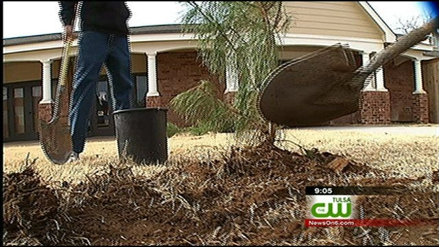 Green Teens Start Tree-Planting Initiative in Tulsa