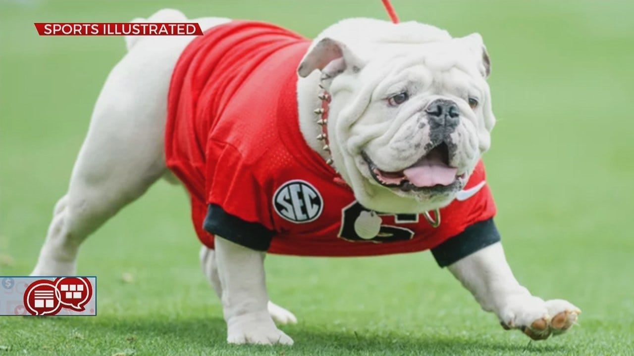 Something To Talk About: Greatest Football Mascots