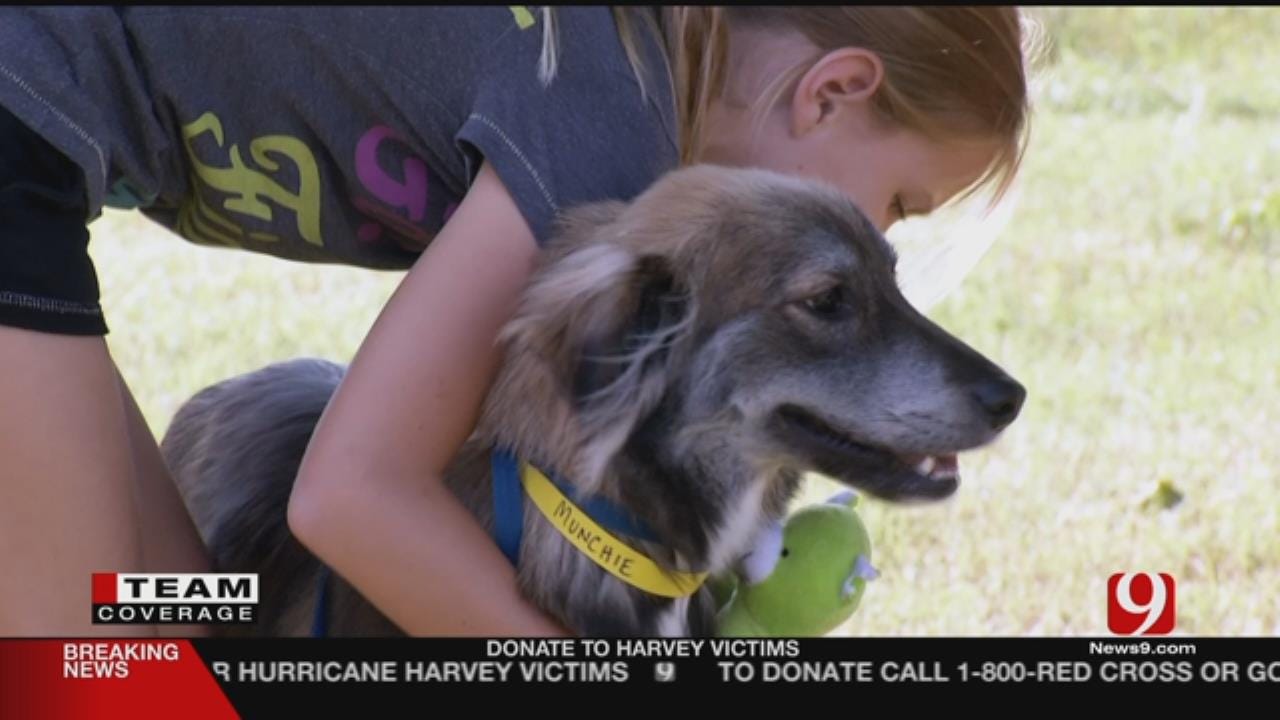 Central OK Humane Society Helps Houston Animal Shelter
