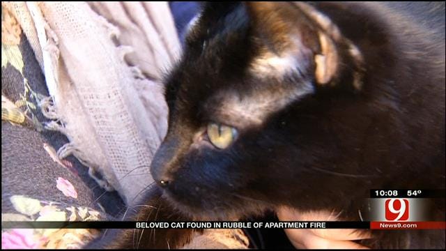 Miracle Cat Survives Woodward Apartment Fire