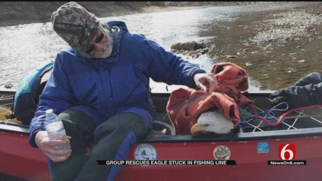 Friends On Illinois River Float Trip Rescue Trapped Bald Eagle