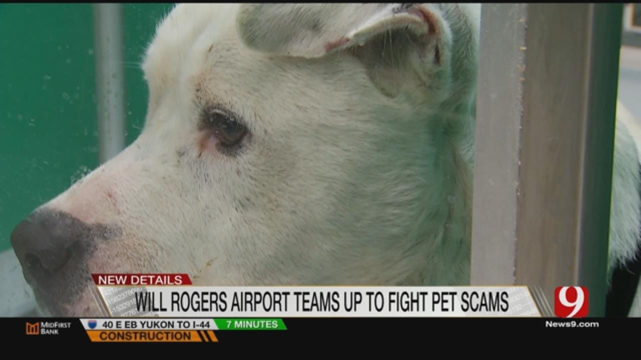Will Rogers Warn About Pet Scams Through Airport