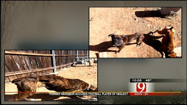 OSU Football Player Accused Of Neglecting Dogs