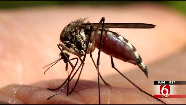 West Nile Virus Claims First Life Of 2013 In Oklahoma County