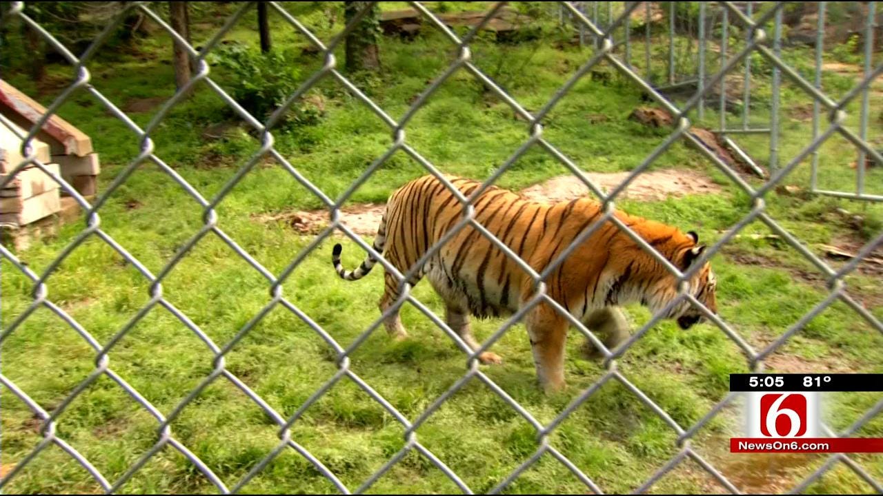Broken Arrow Safari Built Cages With Weather In Mind