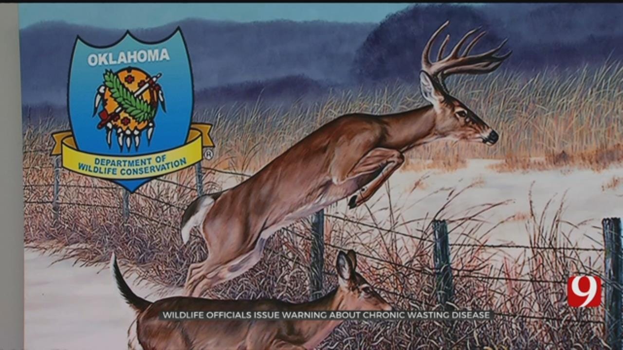 Officials Working To Keep Deer Disease Out Of Oklahoma