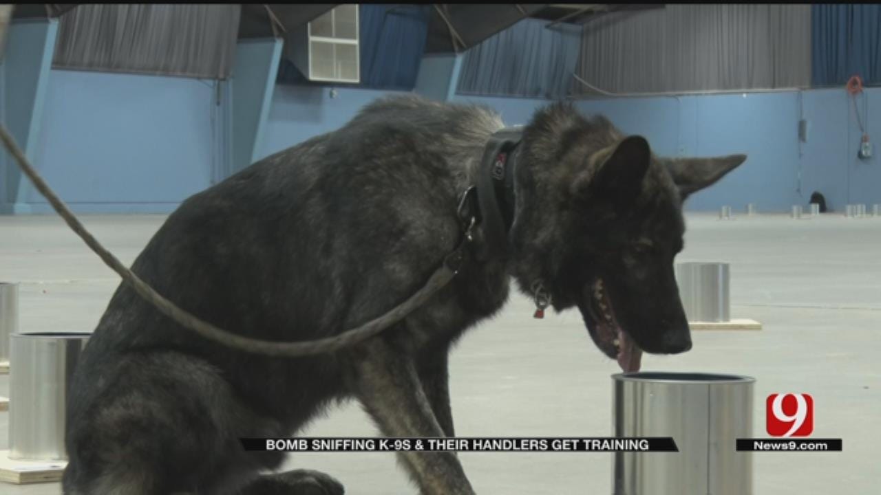 Oklahoma Bomb-Sniffing K-9s Aim To Get Nationally Certified