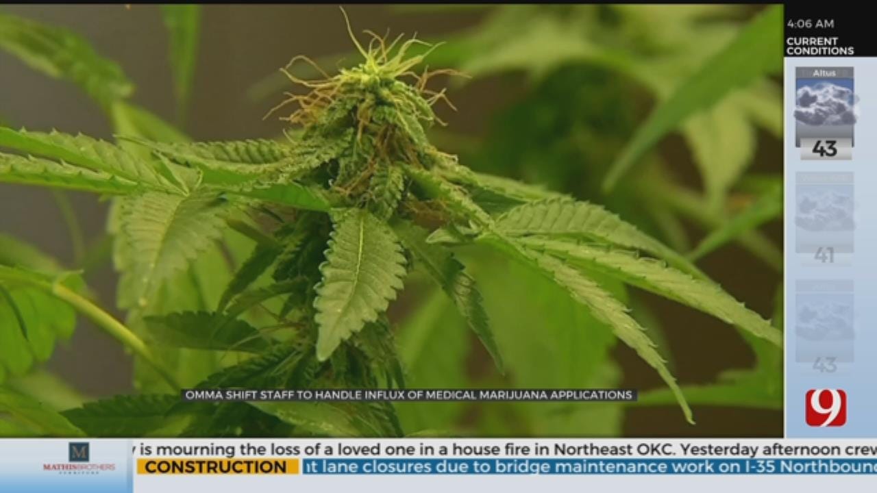 OMMA Shift Staff To Handle Influx Of Medical Marijuana Applications