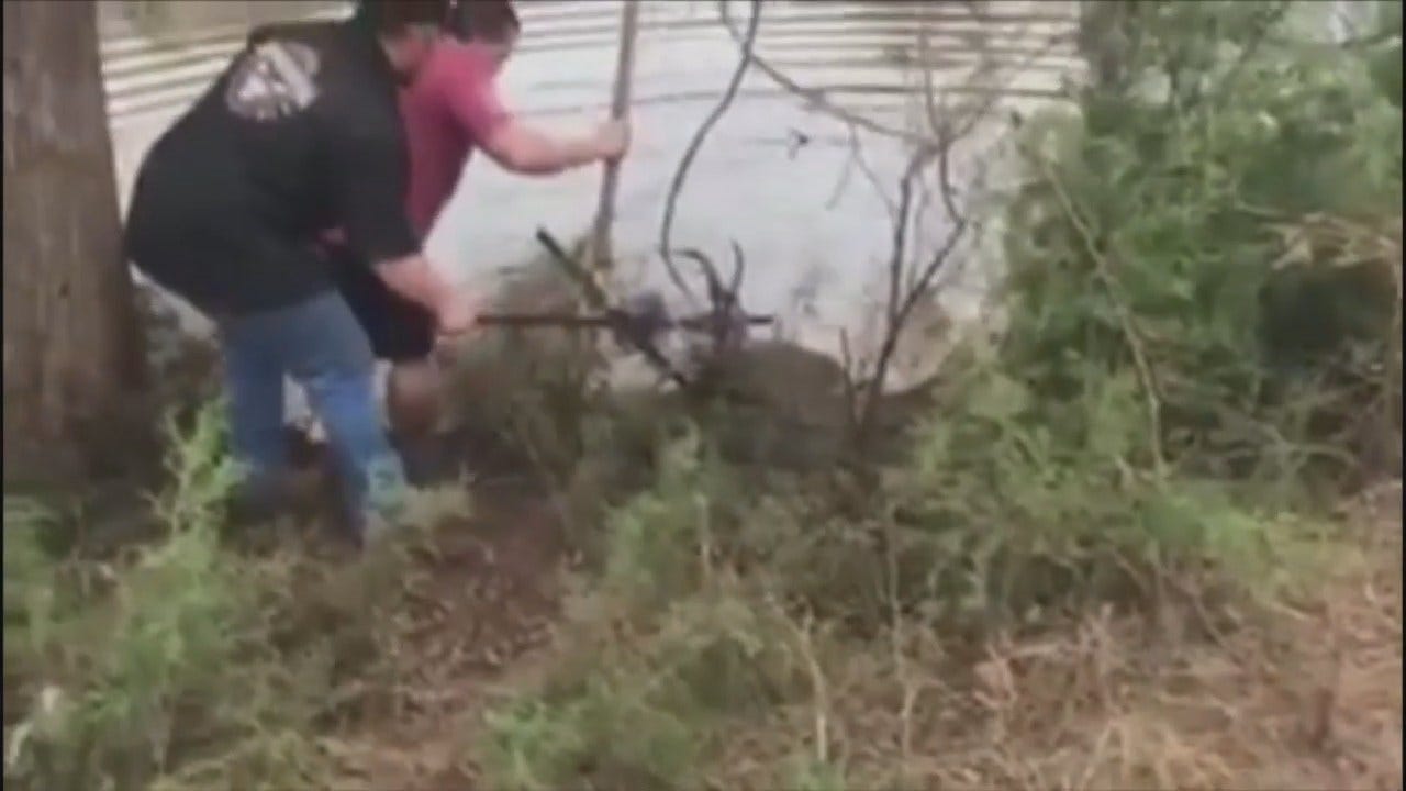 WEB EXTRA: Deer Rescue Caught On Video