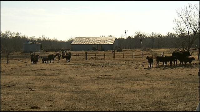 Persistent Drought Threatening Livelihoods Of Oklahoma Ranchers, Farmers
