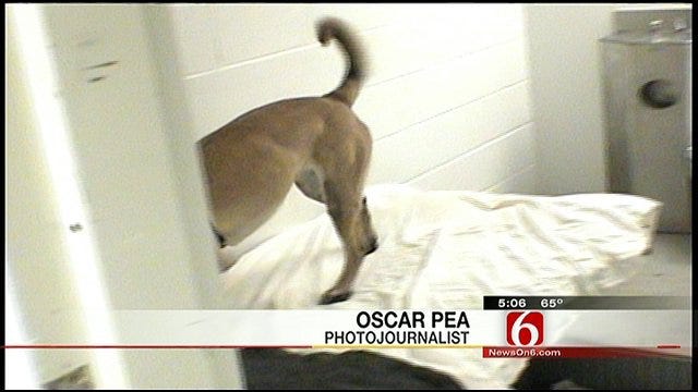 Tulsa County Jail Goes To The Dogs