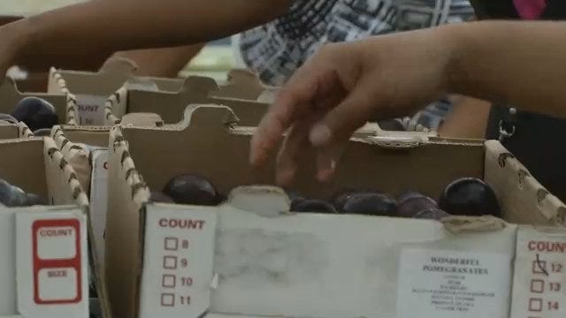 Organizations Team Up To Provide Tulsa Families With Fresh Summer Produce