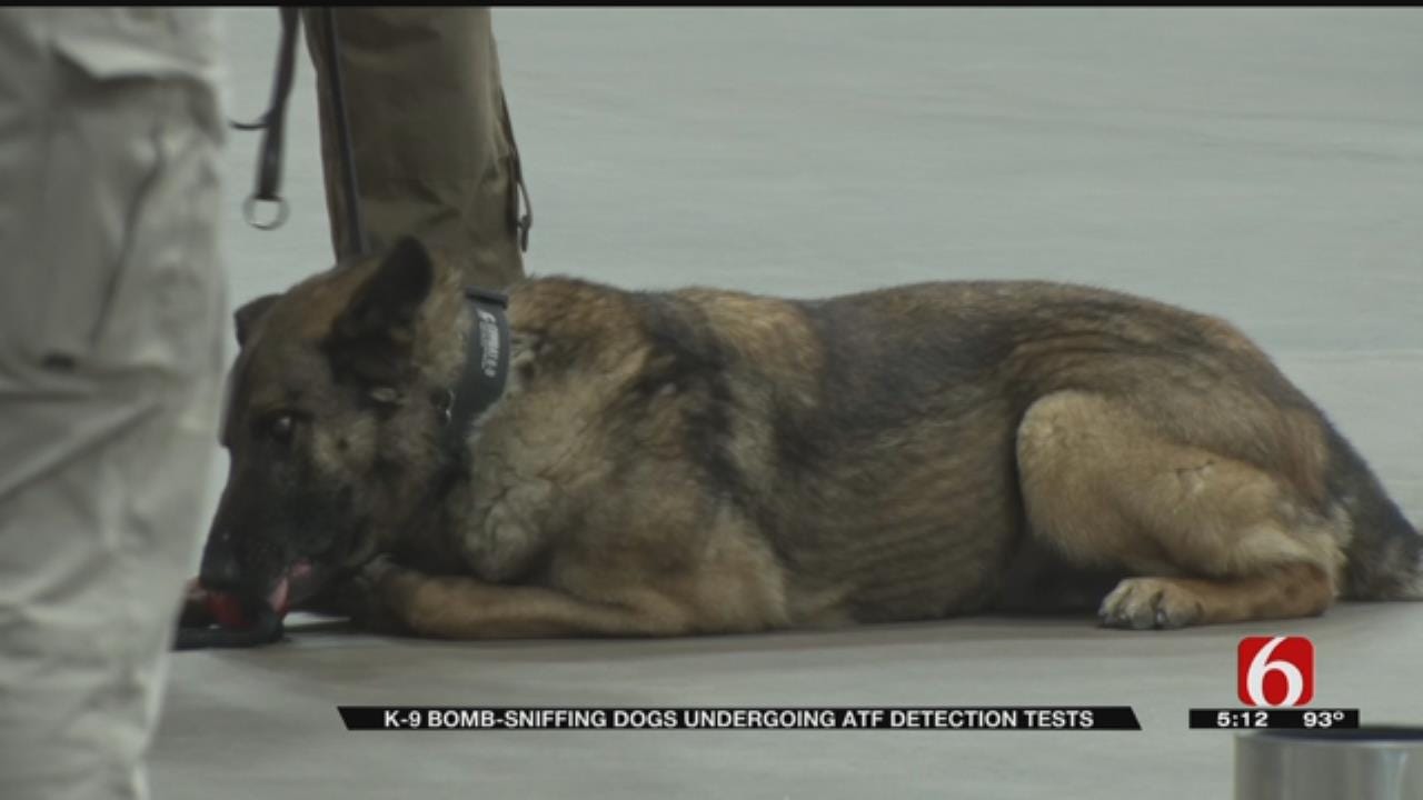 OHP and ATF Host National K-9 Explosive Detection Test