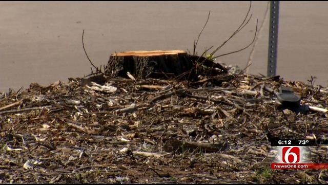 LaFortune Park Goers Surprised To See Trees Down To Stumps