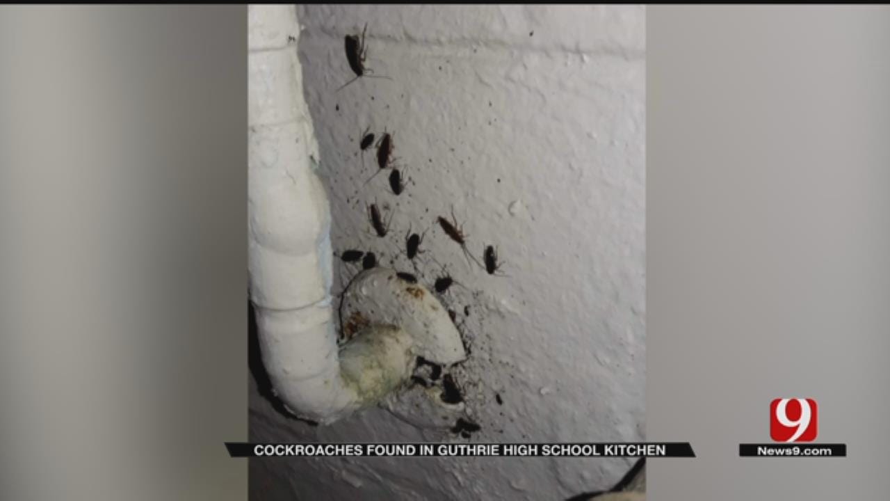 Officials Investigating After Photo, Video Shows Roaches In Guthrie HS Kitchen