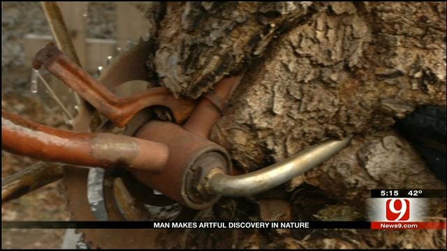 Edmond Man Finds Bicycle Fully Engulfed By Tree