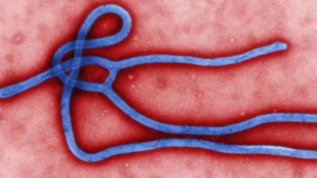 Uganda Confirms First Ebola Case Outside Outbreak In Congo