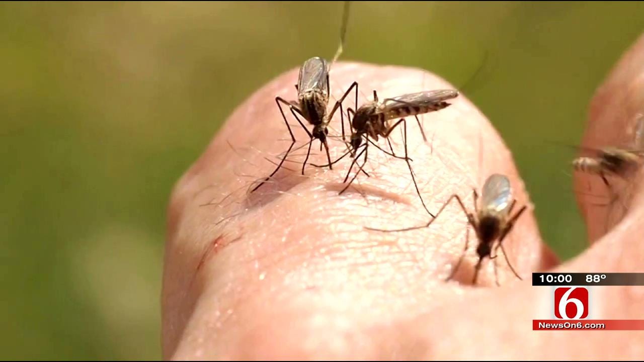 Muskogee County Using New Tool To Fight Mosquito Problem