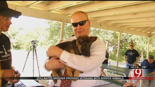Stillwater Breeder Provides Veterans With Service Animals