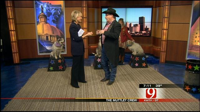 The Muttly Crew Stops By News 9 This Morning