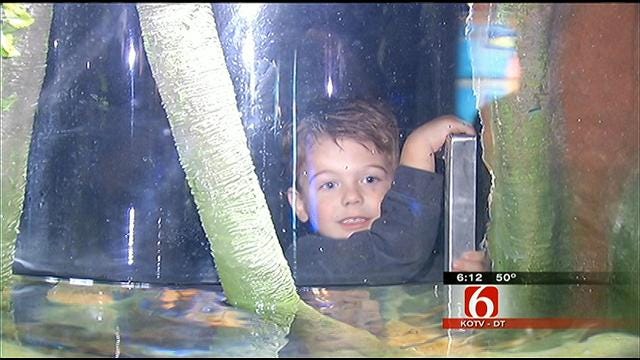 Experience Extreme Amazon Exhibit At Oklahoma Aquarium