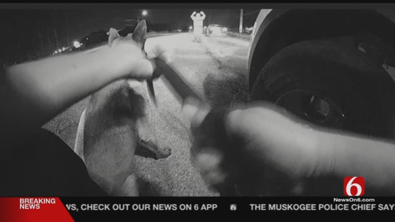 Body Cam Video Released In Tulsa Arrests